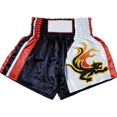 Kick Boxing Shorts